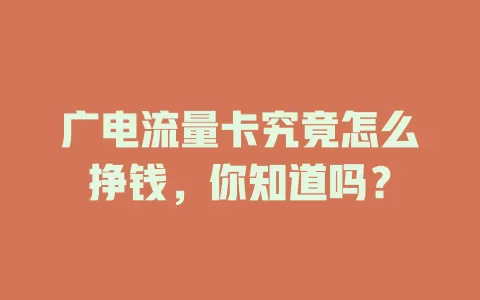 广电流量卡究竟怎么挣钱，你知道吗？