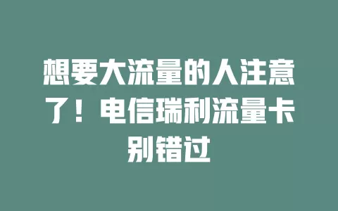 想要大流量的人注意了！电信瑞利流量卡别错过