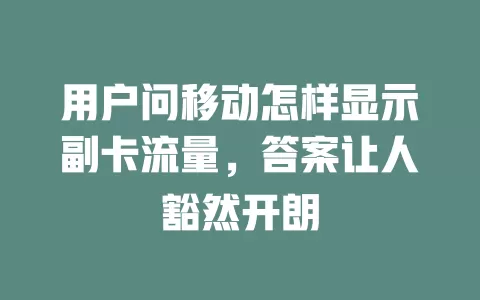 用户问移动怎样显示副卡流量，答案让人豁然开朗
