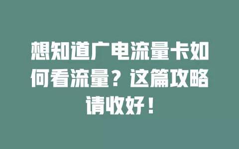 想知道广电流量卡如何看流量？这篇攻略请收好！