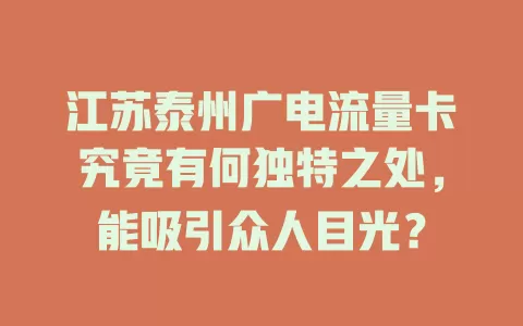江苏泰州广电流量卡究竟有何独特之处，能吸引众人目光？