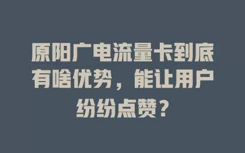 原阳广电流量卡到底有啥优势，能让用户纷纷点赞？