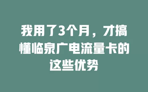 我用了3个月，才搞懂临泉广电流量卡的这些优势