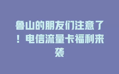 鲁山的朋友们注意了！电信流量卡福利来袭