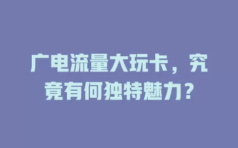 广电流量大玩卡，究竟有何独特魅力？