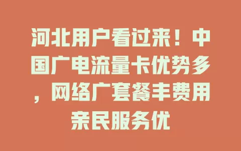 河北用户看过来！中国广电流量卡优势多，网络广套餐丰费用亲民服务优