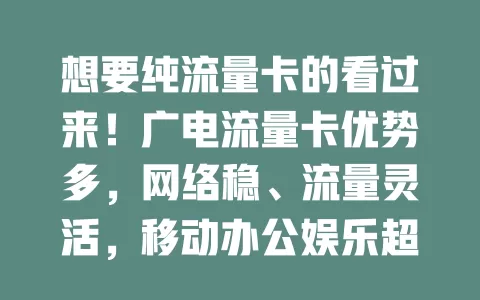 想要纯流量卡的看过来！广电流量卡优势多，网络稳、流量灵活，移动办公娱乐超方便，价格还实惠