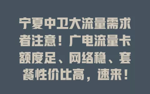 宁夏中卫大流量需求者注意！广电流量卡额度足、网络稳、套餐性价比高，速来！