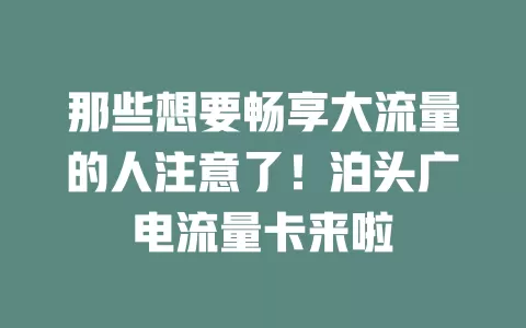 那些想要畅享大流量的人注意了！泊头广电流量卡来啦
