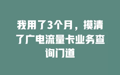 我用了3个月，摸清了广电流量卡业务查询门道