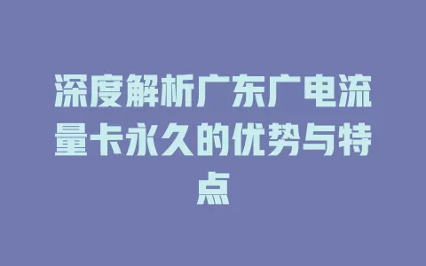 深度解析广东广电流量卡永久的优势与特点
