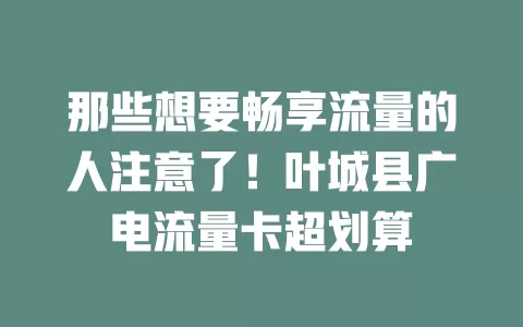 那些想要畅享流量的人注意了！叶城县广电流量卡超划算