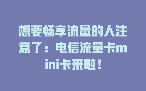 想要畅享流量的人注意了：电信流量卡mini卡来啦！
