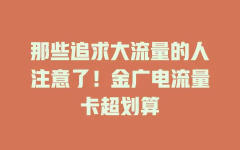 那些追求大流量的人注意了！金广电流量卡超划算