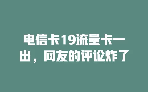 电信卡19流量卡一出，网友的评论炸了
