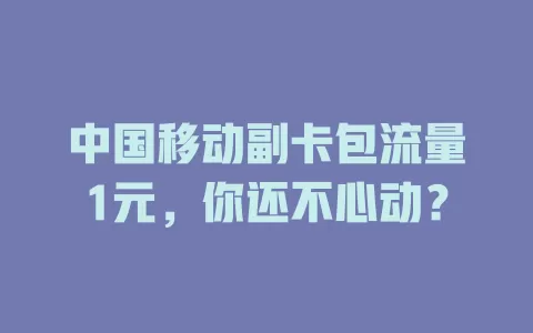 中国移动副卡包流量1元，你还不心动？