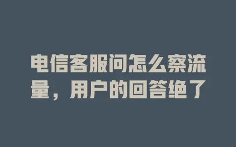 电信客服问怎么察流量，用户的回答绝了