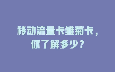 移动流量卡雏菊卡，你了解多少？