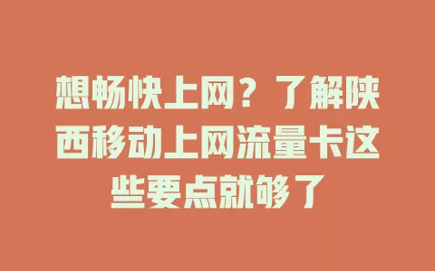 想畅快上网？了解陕西移动上网流量卡这些要点就够了