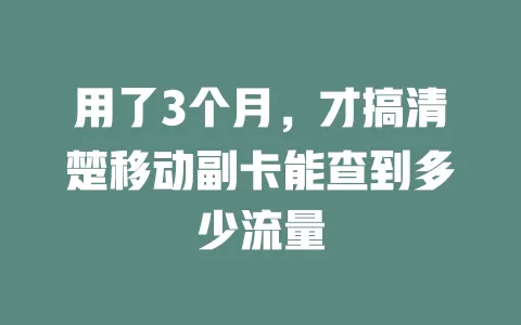 用了3个月，才搞清楚移动副卡能查到多少流量