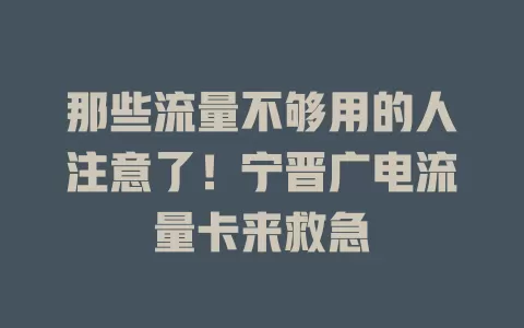那些流量不够用的人注意了！宁晋广电流量卡来救急