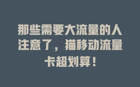 那些需要大流量的人注意了，猫移动流量卡超划算！