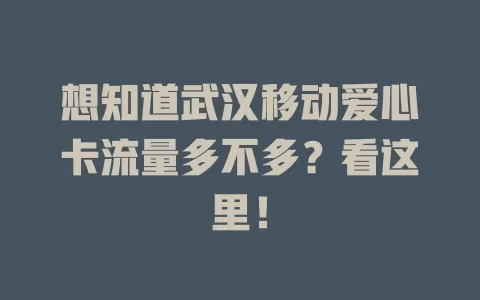 想知道武汉移动爱心卡流量多不多？看这里！