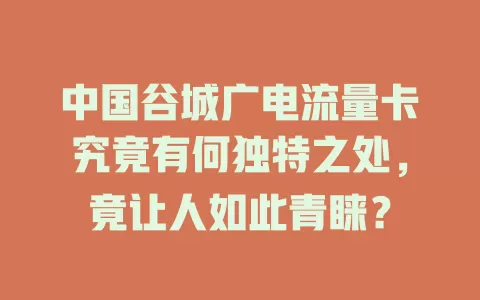 中国谷城广电流量卡究竟有何独特之处，竟让人如此青睐？