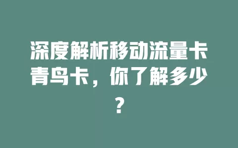 深度解析移动流量卡青鸟卡，你了解多少？