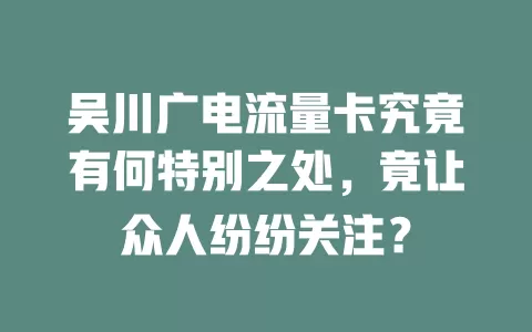 吴川广电流量卡究竟有何特别之处，竟让众人纷纷关注？