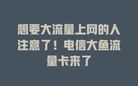 想要大流量上网的人注意了！电信大鱼流量卡来了