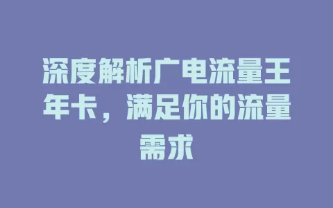 深度解析广电流量王年卡，满足你的流量需求