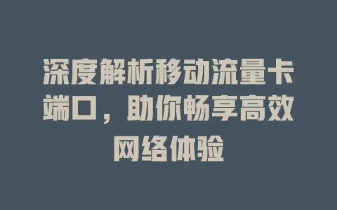 深度解析移动流量卡端口，助你畅享高效网络体验