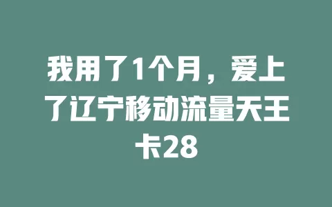 我用了1个月，爱上了辽宁移动流量天王卡28