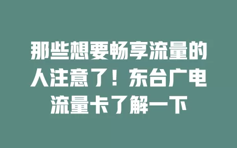 那些想要畅享流量的人注意了！东台广电流量卡了解一下