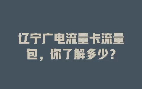 辽宁广电流量卡流量包，你了解多少？