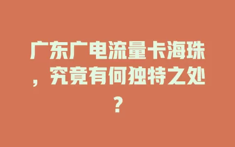 广东广电流量卡海珠，究竟有何独特之处？