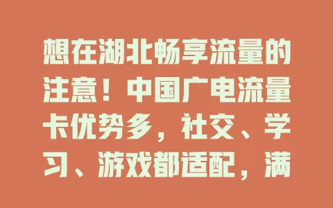 想在湖北畅享流量的注意！中国广电流量卡优势多，社交、学习、游戏都适配，满足多样需求，带来优质网络体验