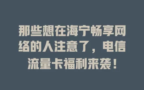 那些想在海宁畅享网络的人注意了，电信流量卡福利来袭！