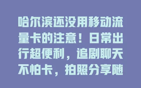 哈尔滨还没用移动流量卡的注意！日常出行超便利，追剧聊天不怕卡，拍照分享随时行，网络稳定不掉链子，赶紧考虑下！