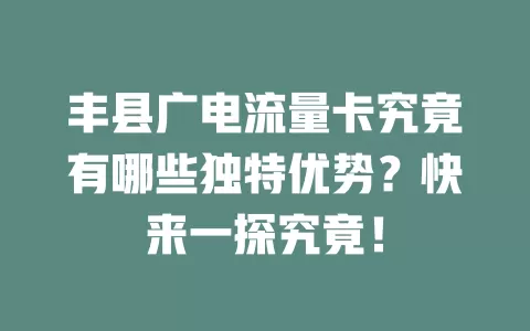 丰县广电流量卡究竟有哪些独特优势？快来一探究竟！