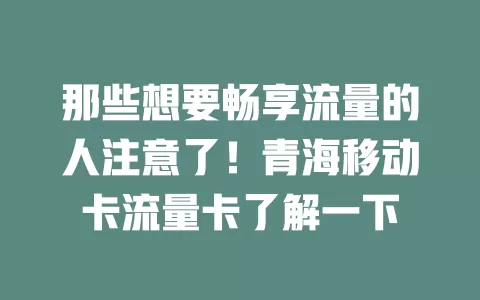 那些想要畅享流量的人注意了！青海移动卡流量卡了解一下