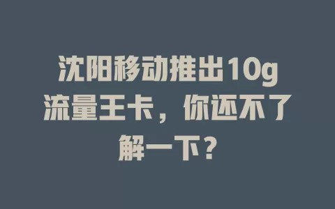 沈阳移动推出10g流量王卡，你还不了解一下？