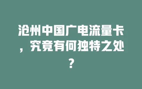 沧州中国广电流量卡，究竟有何独特之处？