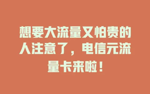 想要大流量又怕贵的人注意了，电信元流量卡来啦！