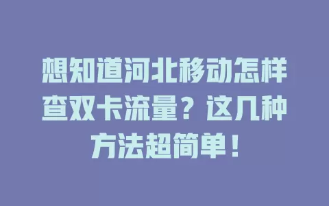 想知道河北移动怎样查双卡流量？这几种方法超简单！