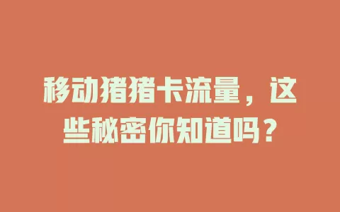 移动猪猪卡流量，这些秘密你知道吗？