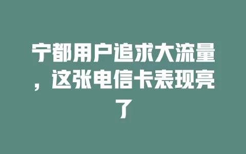 宁都用户追求大流量，这张电信卡表现亮了