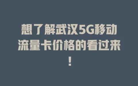 想了解武汉5G移动流量卡价格的看过来！