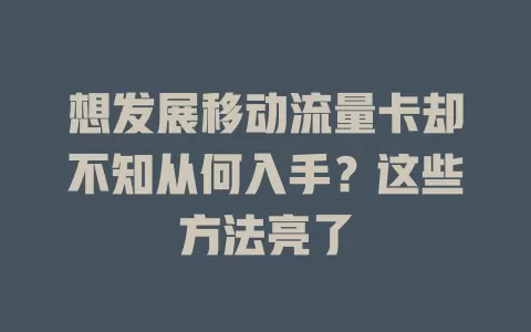 想发展移动流量卡却不知从何入手？这些方法亮了